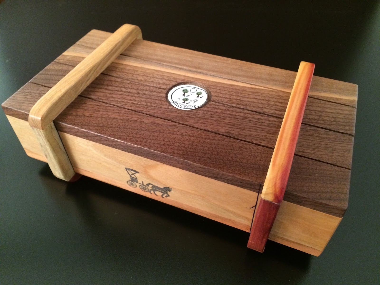 Jerry's Mechanical Puzzle & Brain Teaser Collection Treasure Chest