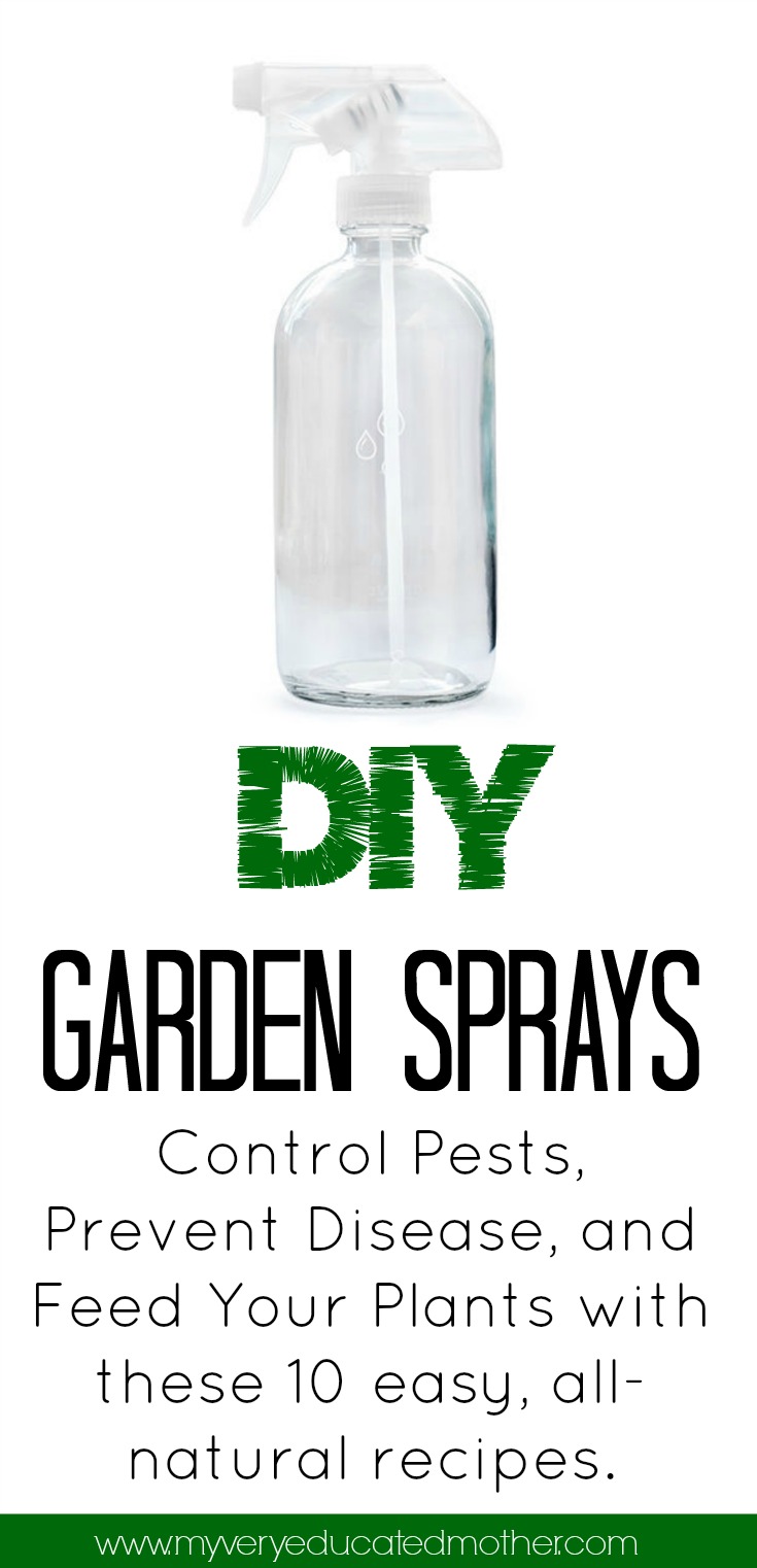 5 Homemade Pesticides: DIY Soap Sprays for Plants