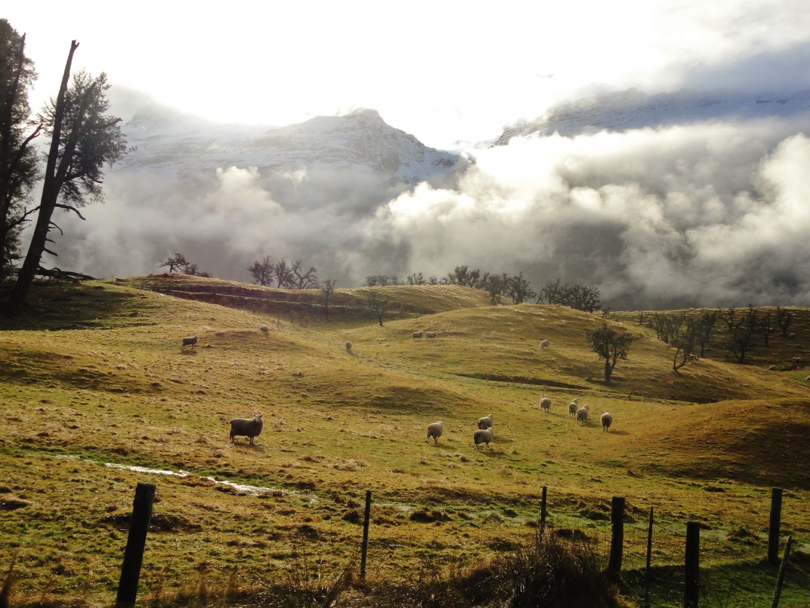 Didgeridoos and Don'ts of Australia