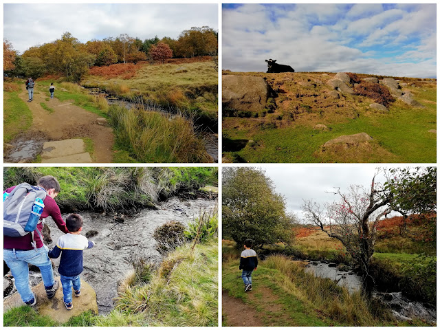 Longshaw Estate walks