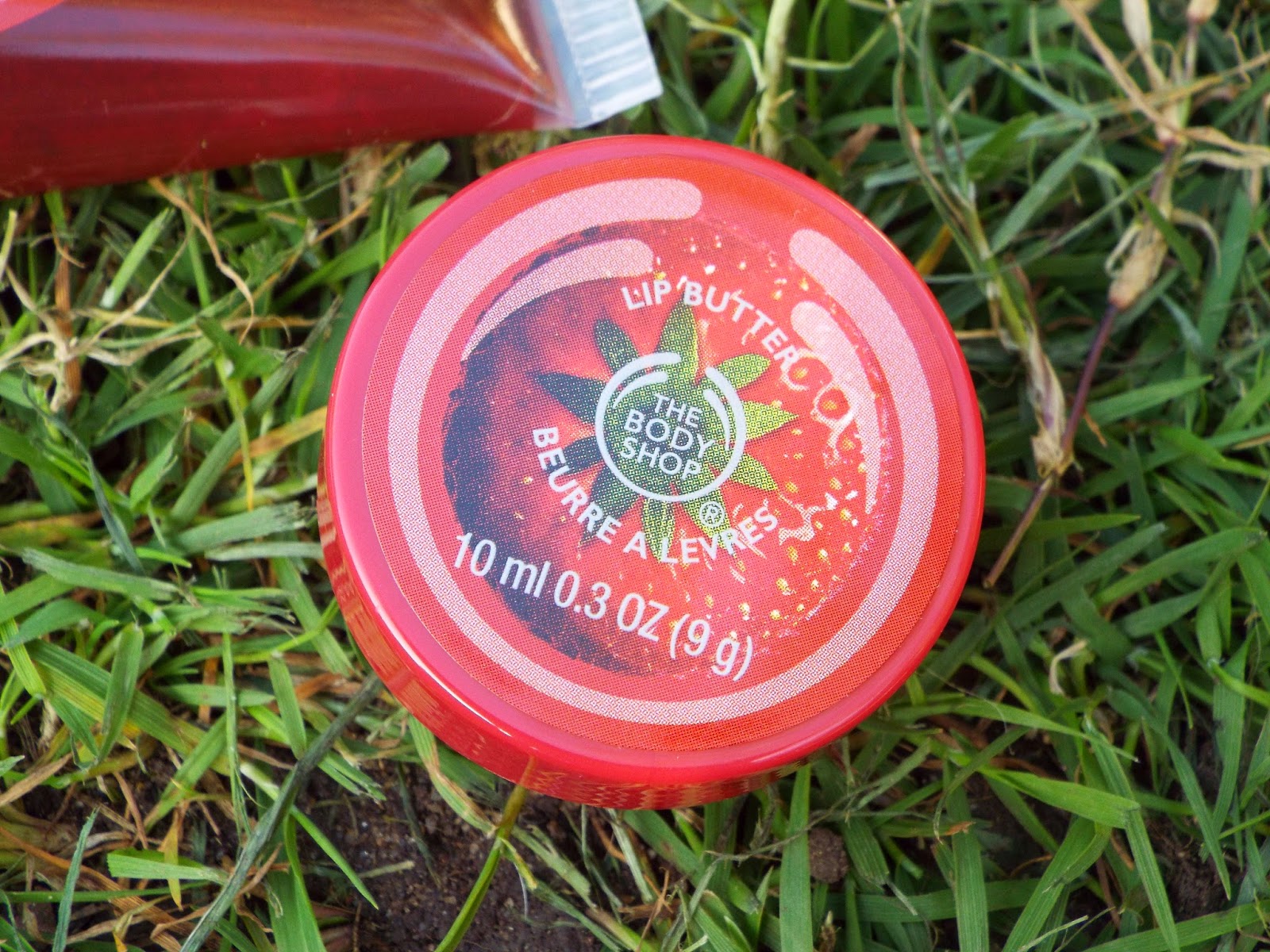 image of the body shop strawberry lip butter