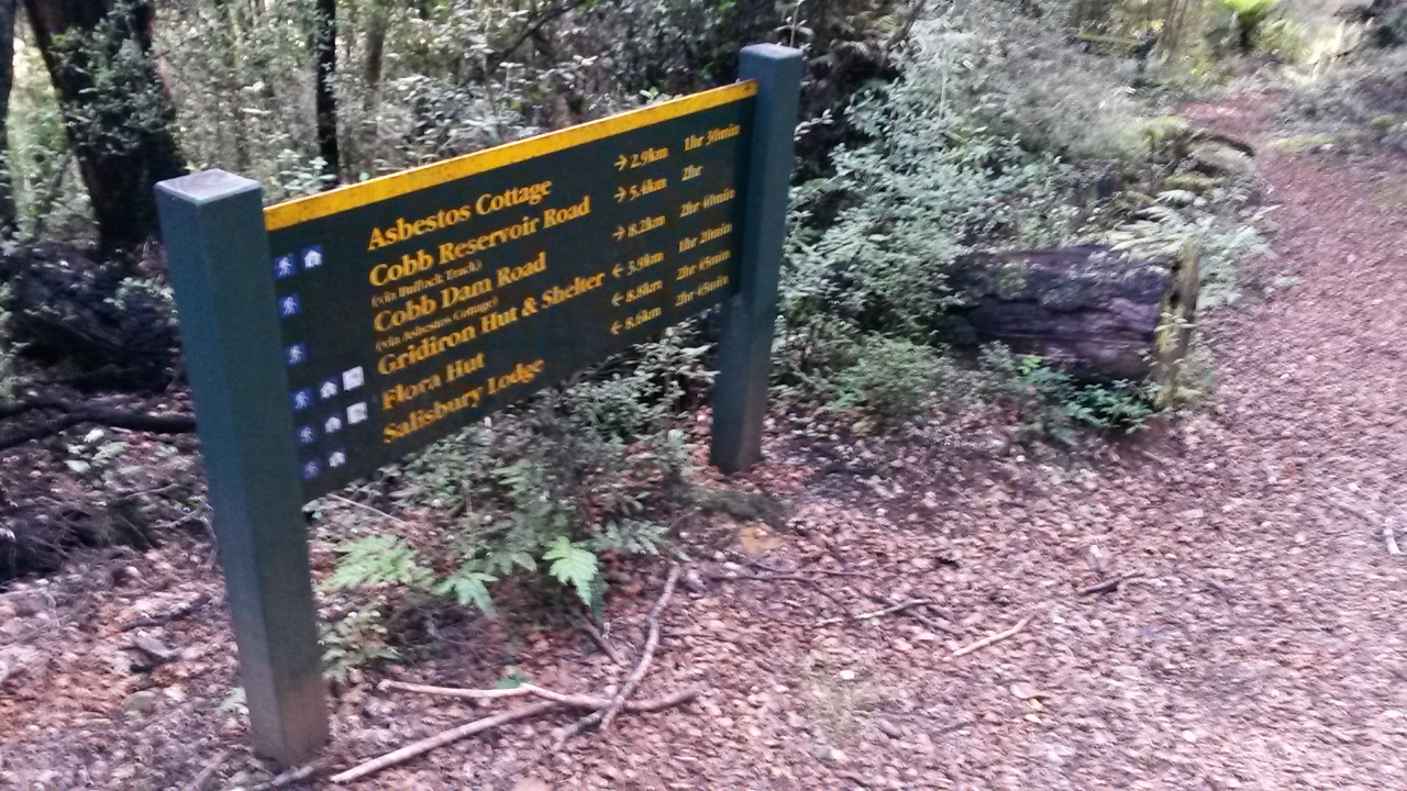 Biking and tramping trip blogs Barron Flats MTB