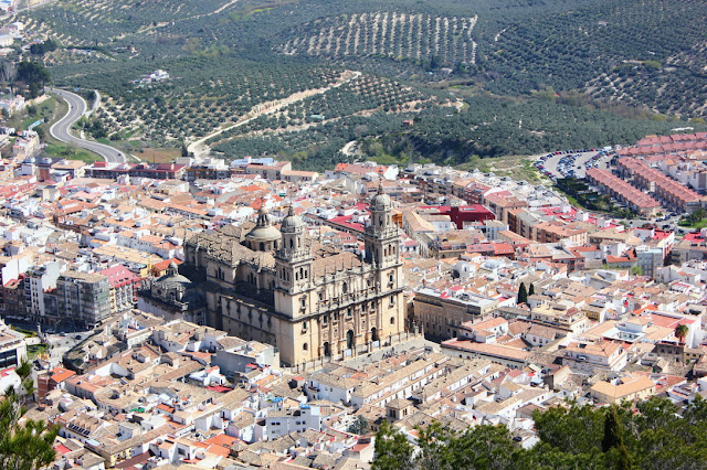 w siedem dni eSzala hiszpania andaluzja jaen zwiedzanie zamek widok widok na starówkę Jaen z zamkowego wzgórza. Ponad ciasno stojące kamienice wyrasta majestayczna sylwetka renesansowej katedry z wieżami i kopułą. Zielone wzgórza, porośniete gajami oliwnymi otaczają miasto. Między drzewami wije się kręta, szara wstęga drogi.