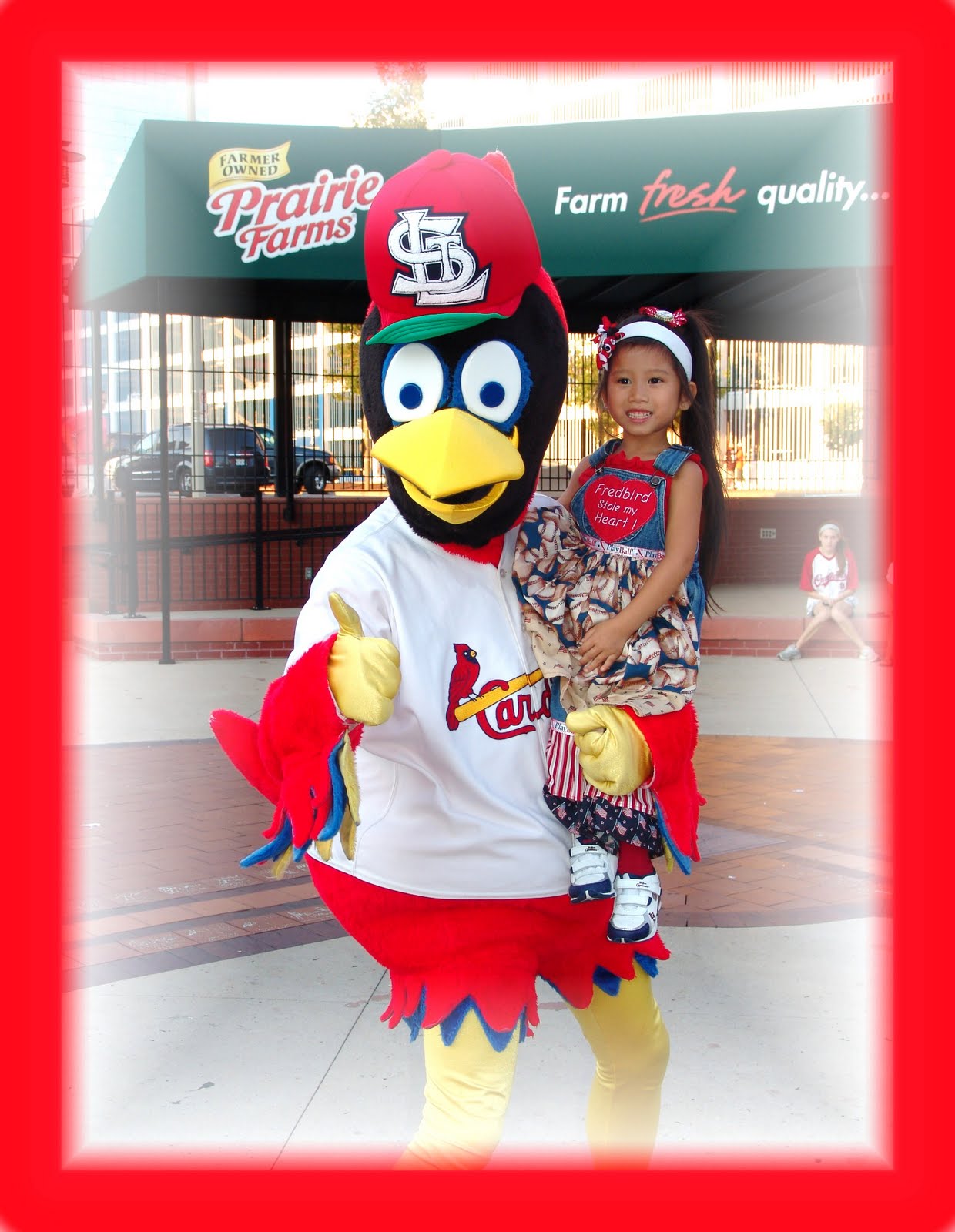 Orchids Ladybugs Boutique Cardinal Build A Bear Game
