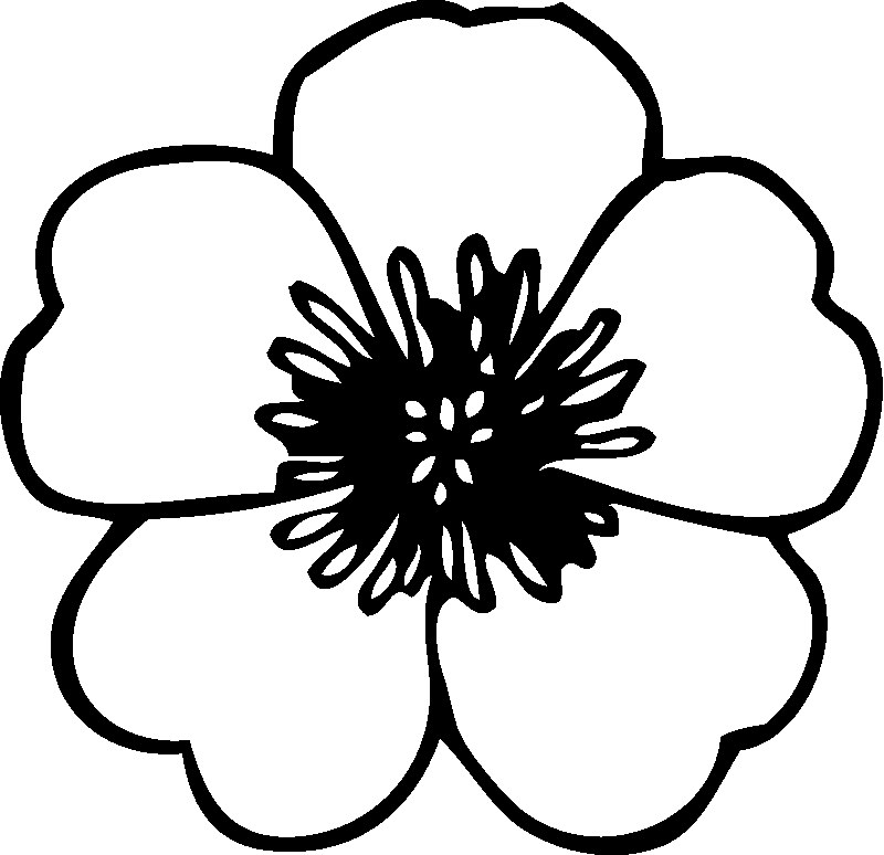 Flower Coloring Pages For Kids