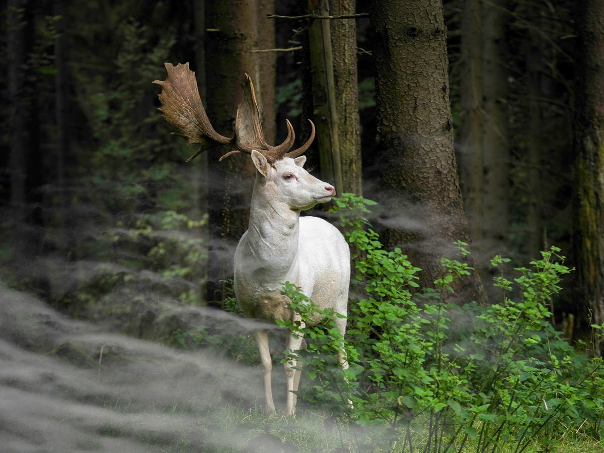 Sony World Photography Awards 2015 Sony World Photography Awards 2015