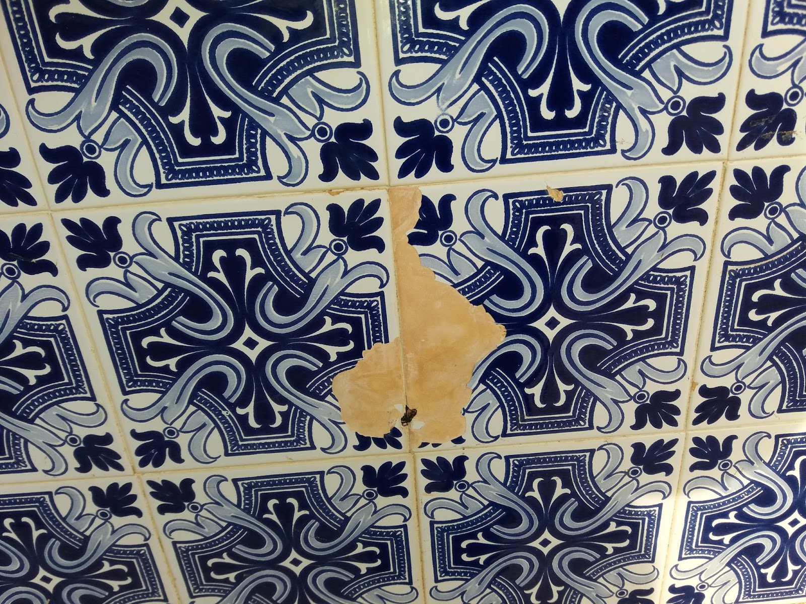 Valado minha paixão OS AZULEJOS da