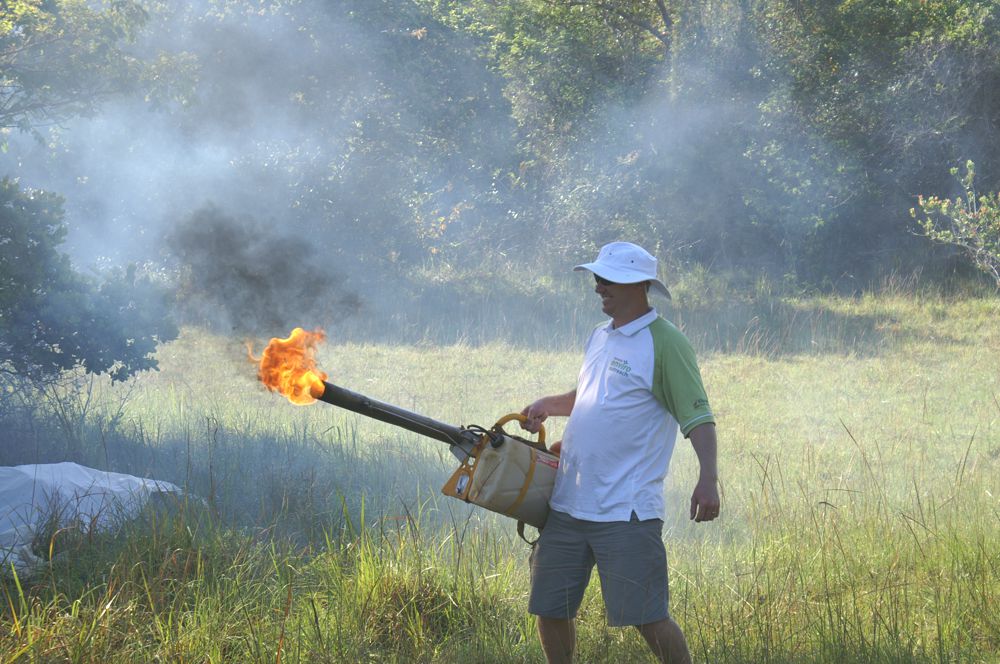 Toyota Enviro Outreach 2011 Fogging, nudibrancs & local fish traps