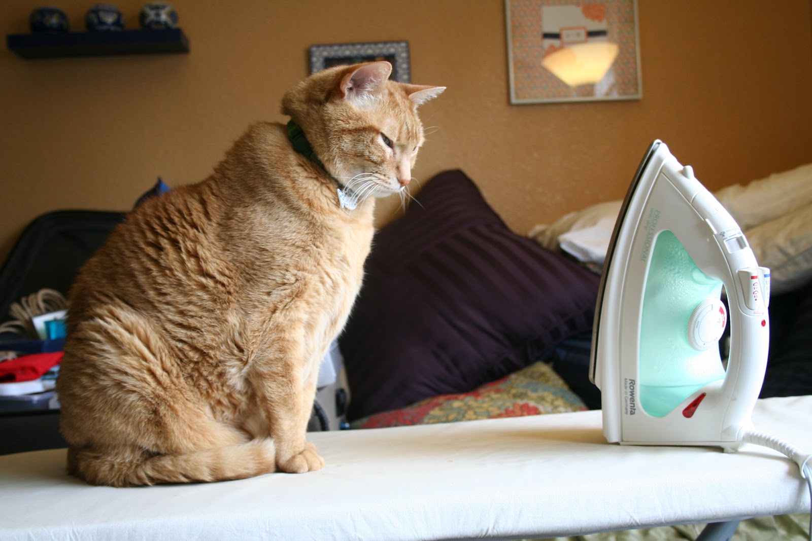The Experimental Crafter Cats Love Ironing Boards