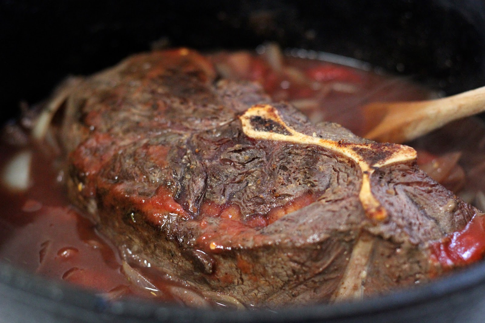 Food for Hunters Bison and Mushroom