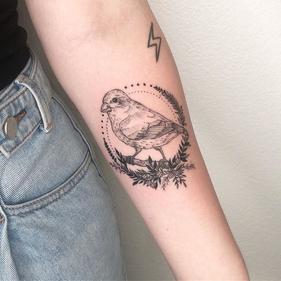Tatuagens de aves para as mulheres Tatuagens de aves para as mulheres