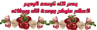 13187699721352.gif