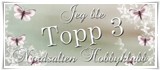 Topp 3 Nordsalten hobbyklubb