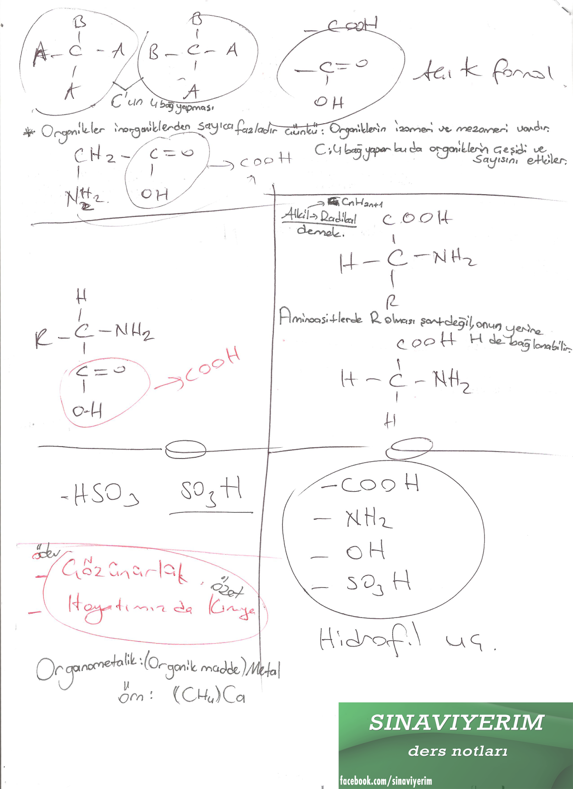 hayatımızda kimya ders notları