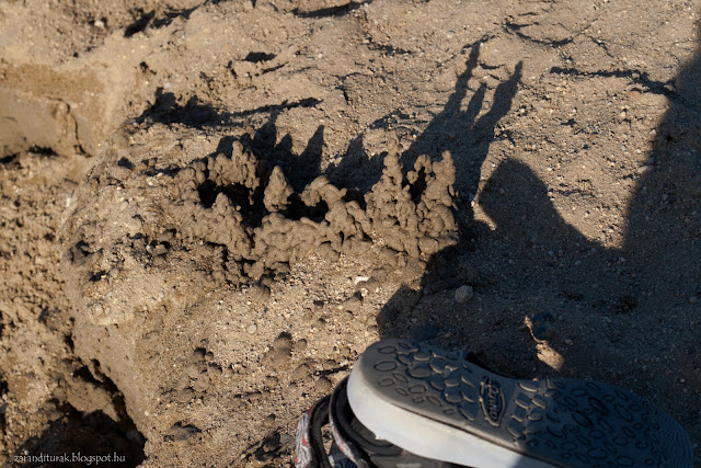 Csepegtetéses technikával készült vár Szandál és homokvár a gyoroki strandon