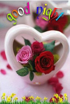 good night good night