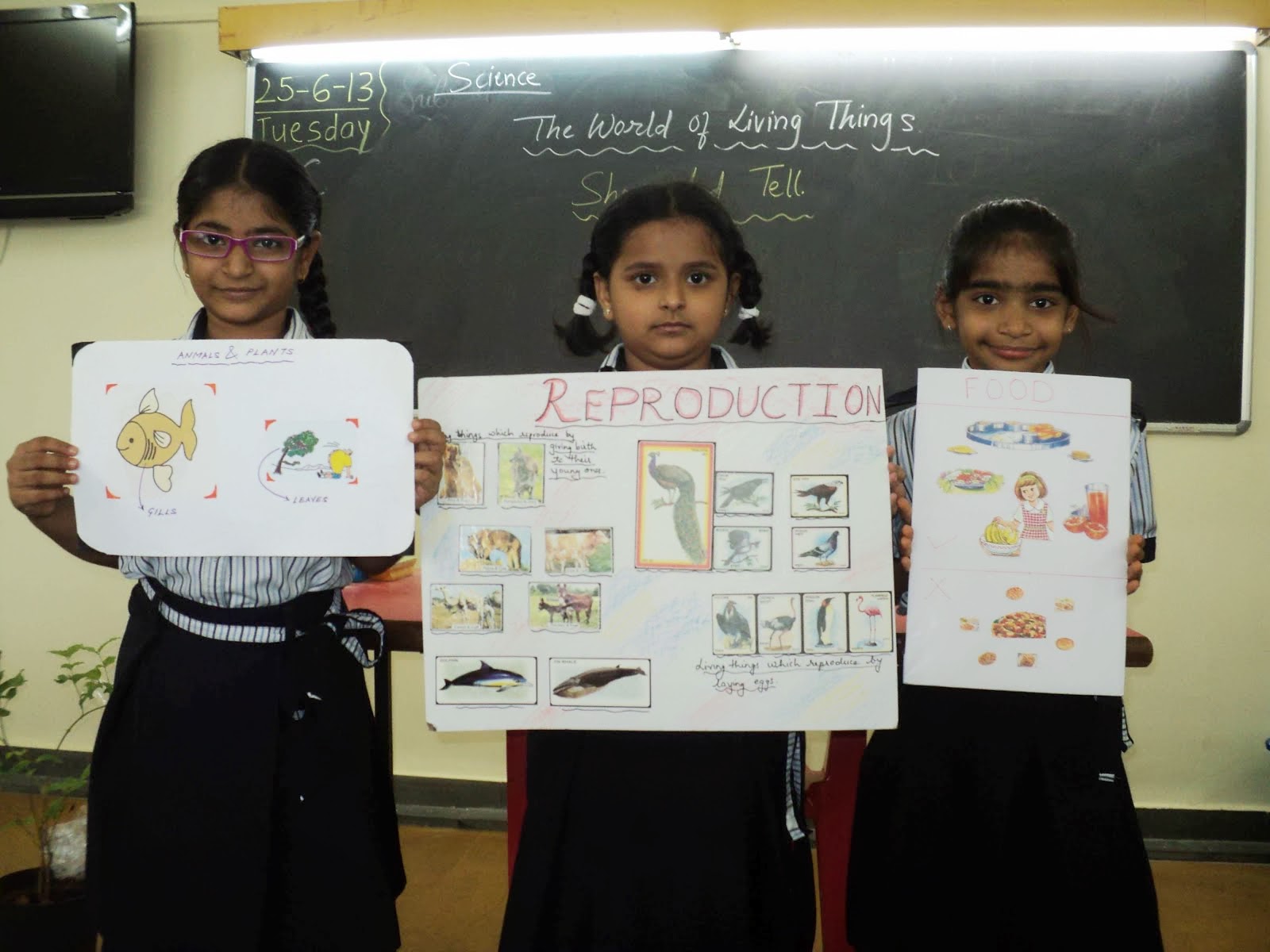 The Rustomjee Cambridge Diaries: Grade 3 Science Show and Tell