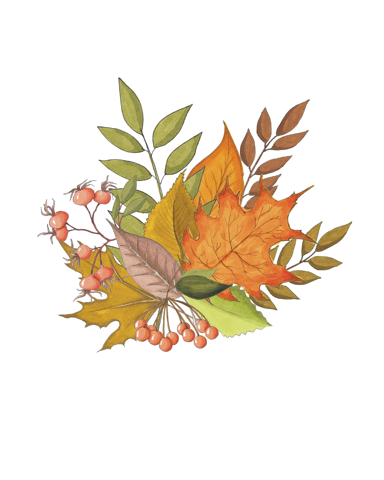 Осенний лист рисунок. Рисунки осенних листьев. Осенние листья рисунок. Букет осенних листьев рисунок. Нарисовать осенний лист.