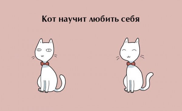 Бонусы для владельцев котов