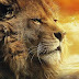 Quem é o Leão da tribo de Judá?
