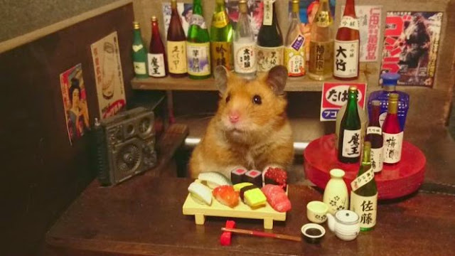 Un chouette restaurant japonais tenu par des petits hamsters  Un%2Brestaurant%2Btenu%2Bpar%2Bdes%2Bhamsters%2Bphoto%2B6