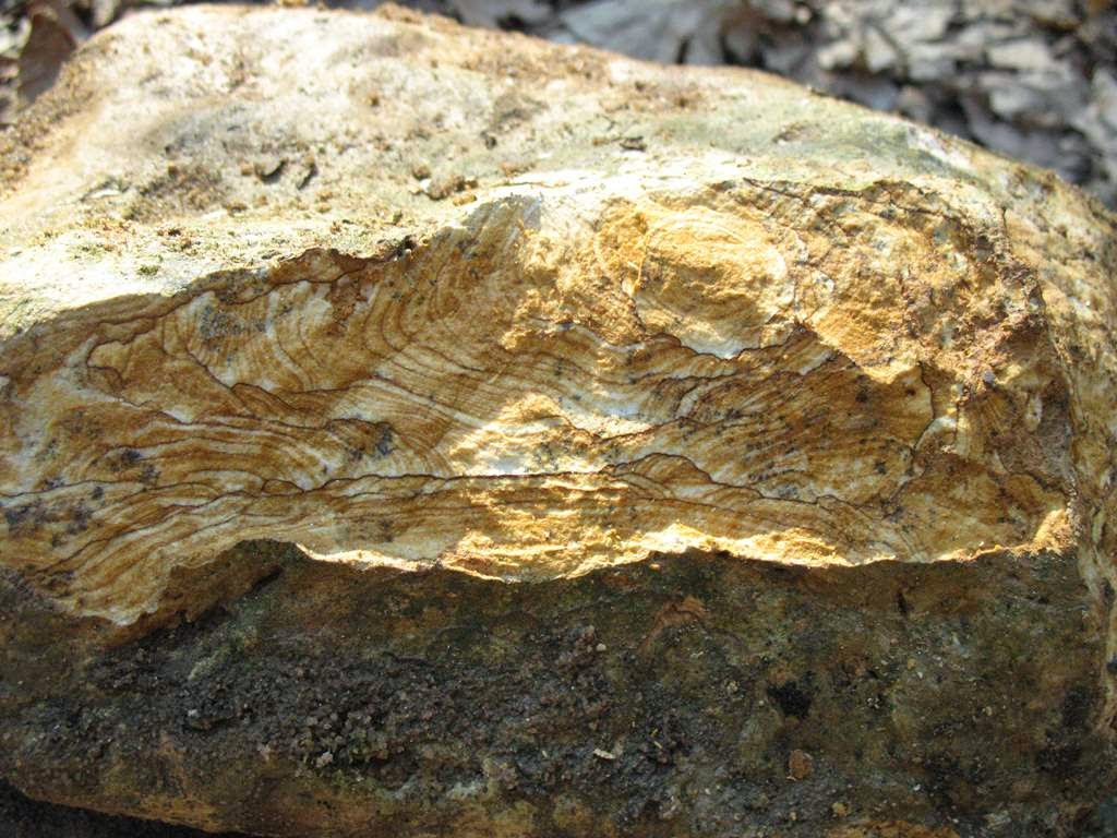 Gold stone. Кварц-золото-сульфидная руда. Тараташский кварцит. Кварц сульфидные золотоносные горные породы. Золото сульфидно кварцевые руды.