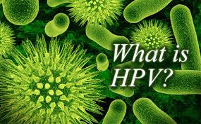virus hpv virus hpv