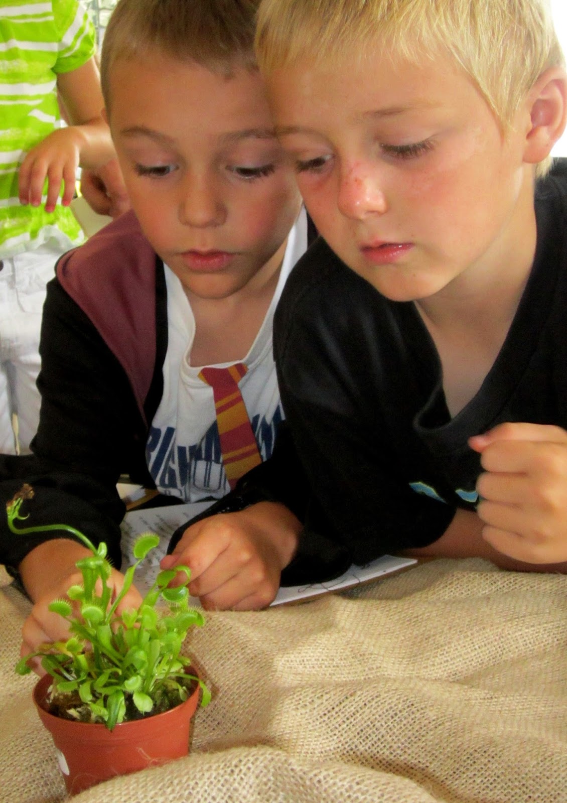 Sweeten Your Day Events: Hogwarts School of Witchcraft & Wizardry ...