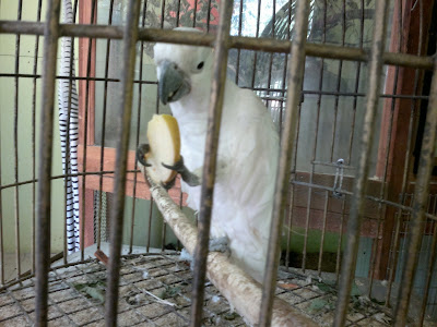 03062013718.jpg