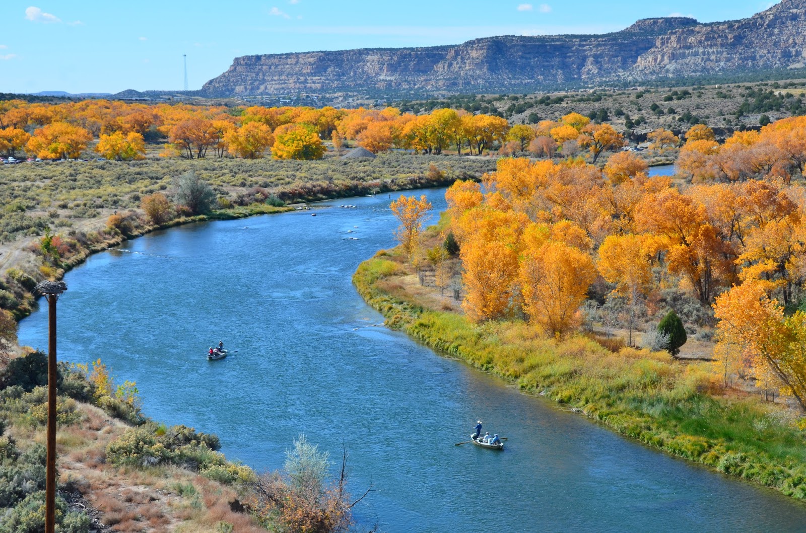 OUTDOORS NM San Juan River's Simon Canyon Run Under Restoration