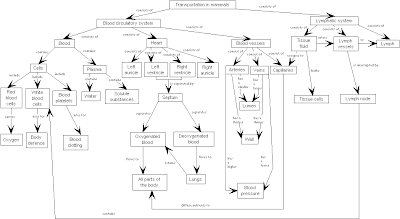 Concept Map of Mammalian Transport | Balachandran Palaniandy @ Biology