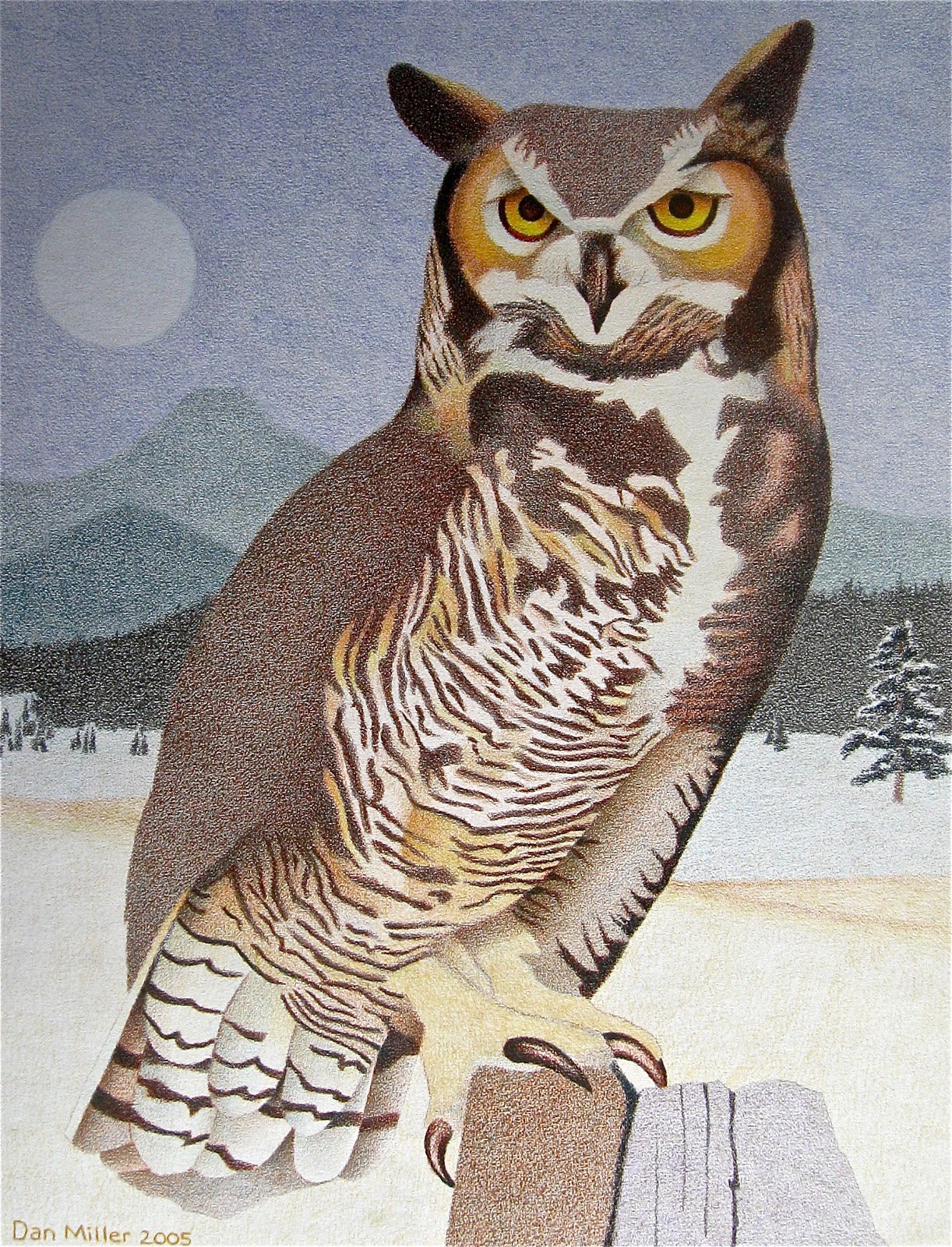 Birds in Art Colored Pencil Drawings