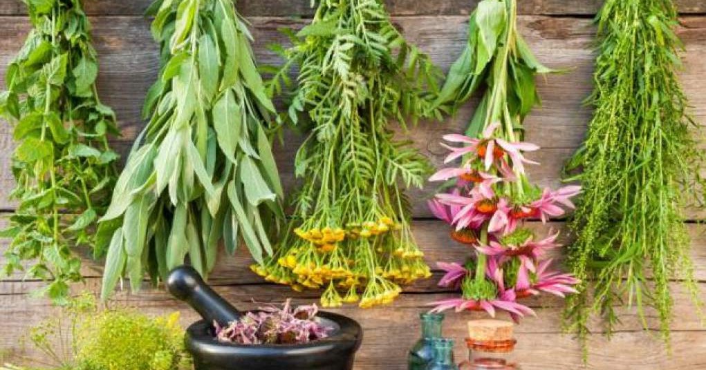 Luz y Oscuridad: Botiquin herbal casero