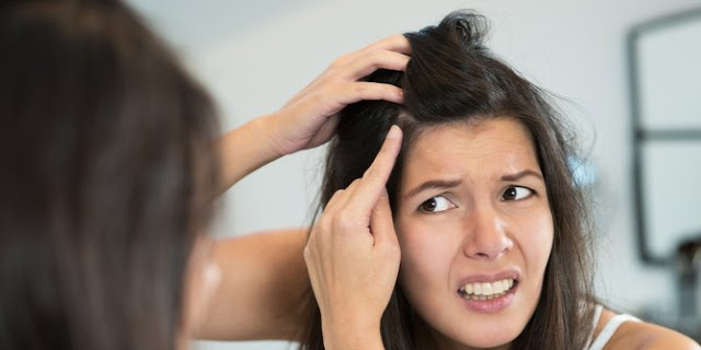 Inilah Khasiat yang Terkandung Dalam Daun Pandan untuk Kecantikan