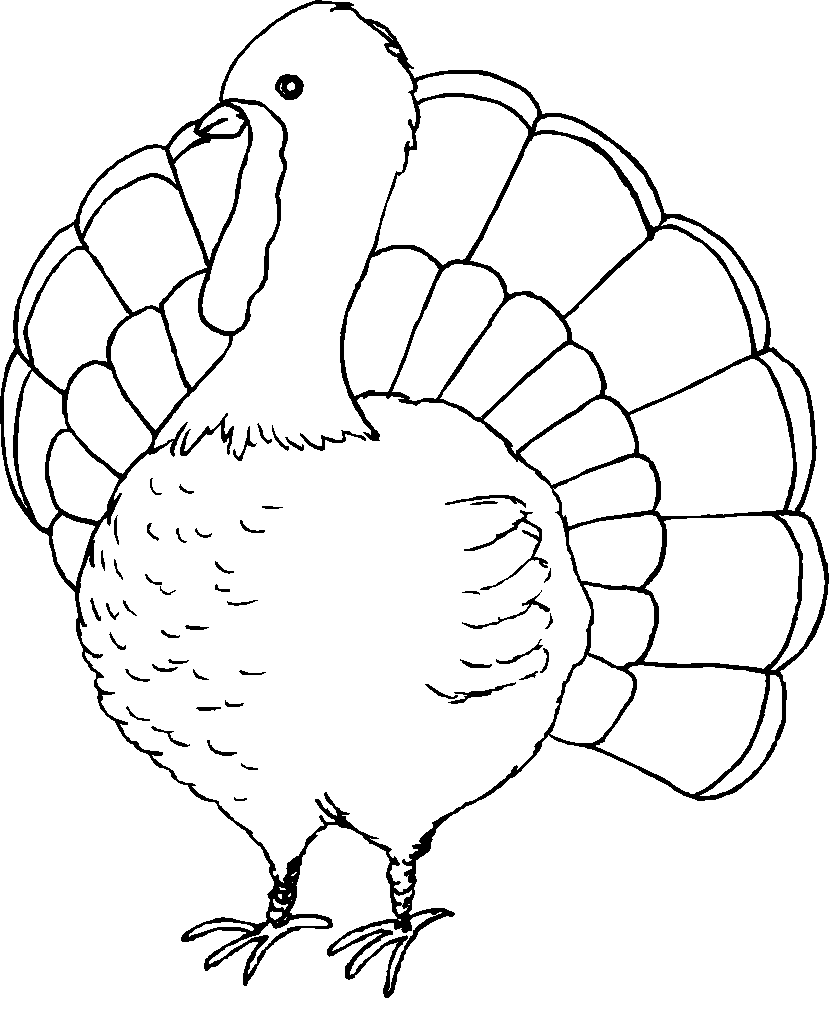 Free Coloring Pages Turkey gtgt Disney Coloring Pages