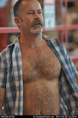 gay mature - hairy chested - mature blog