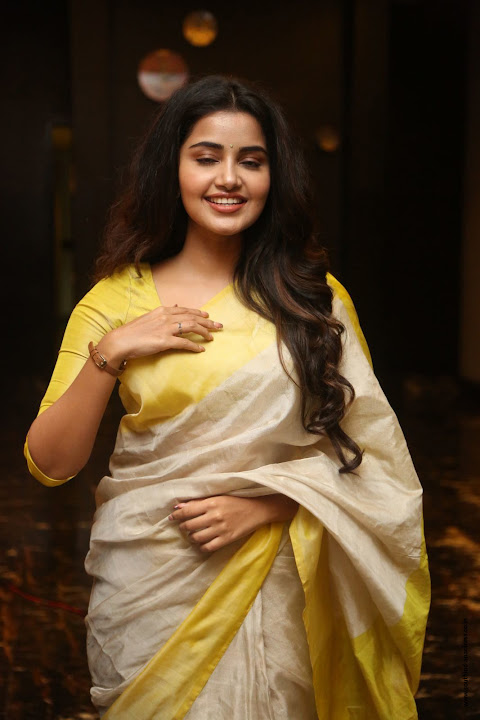 Anupama Parameswaran at SVC Success Celebrations