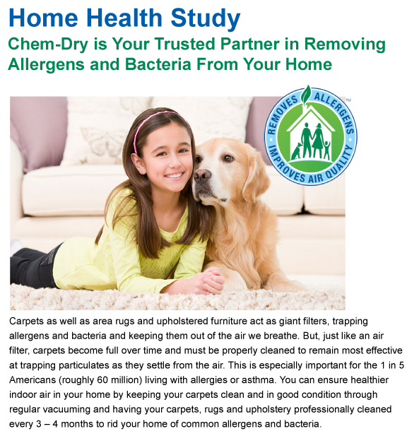 ChemDry Carpet Cleaning Huntsville AL ChemDry oriental rug cleaning