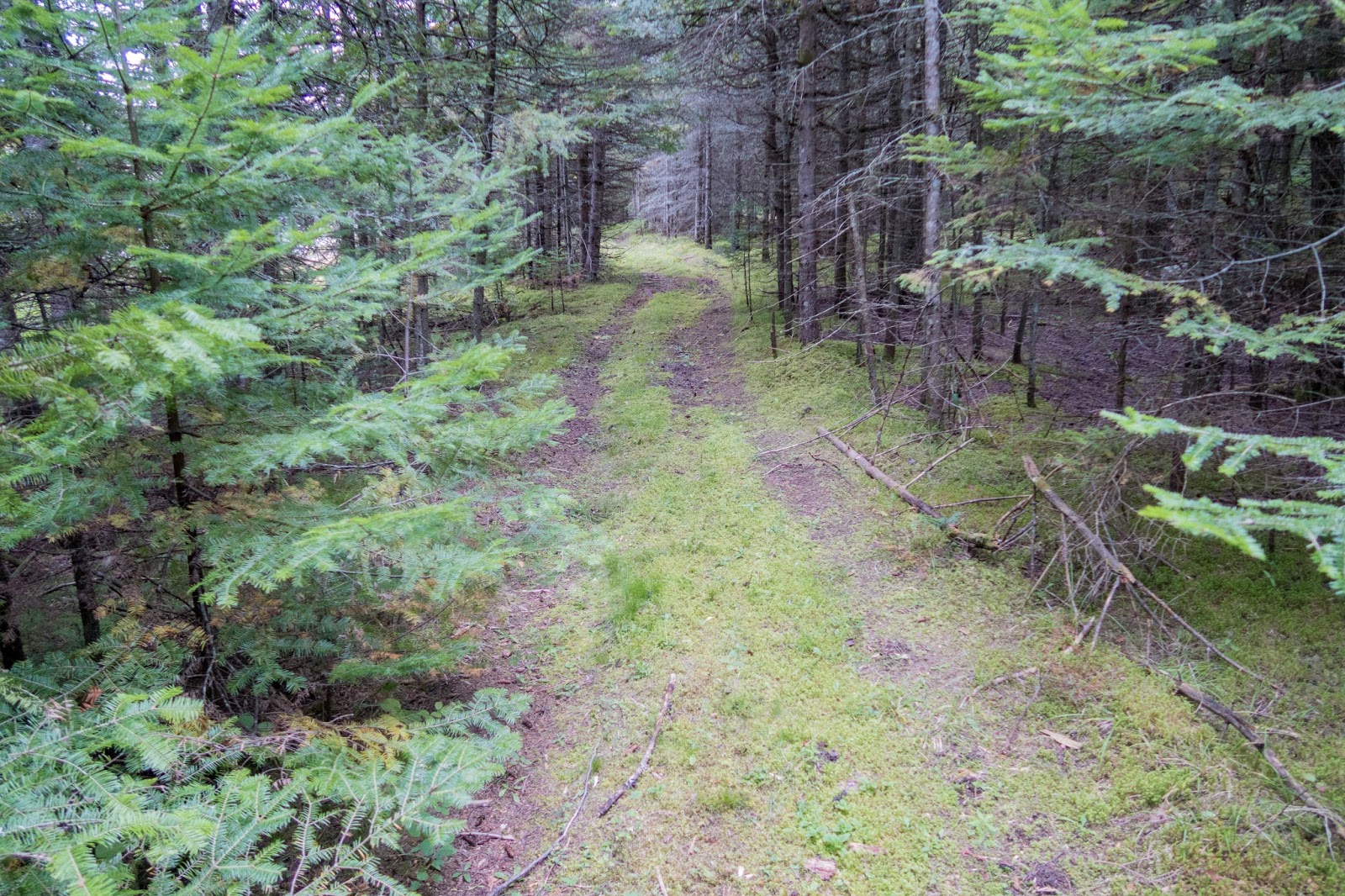 Eric's Hikes Drummond Island Day 3 Walkters Harbor to Glen Point