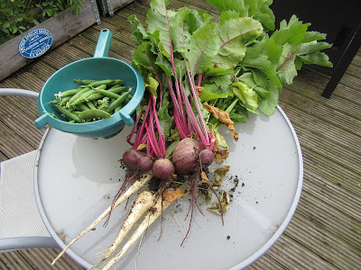 Home grown veg http://snadralovesblogging.blogspot.co.uk/