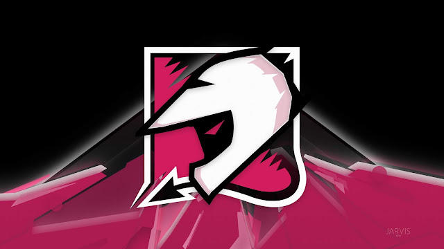 Helmet Logo Wallpaper