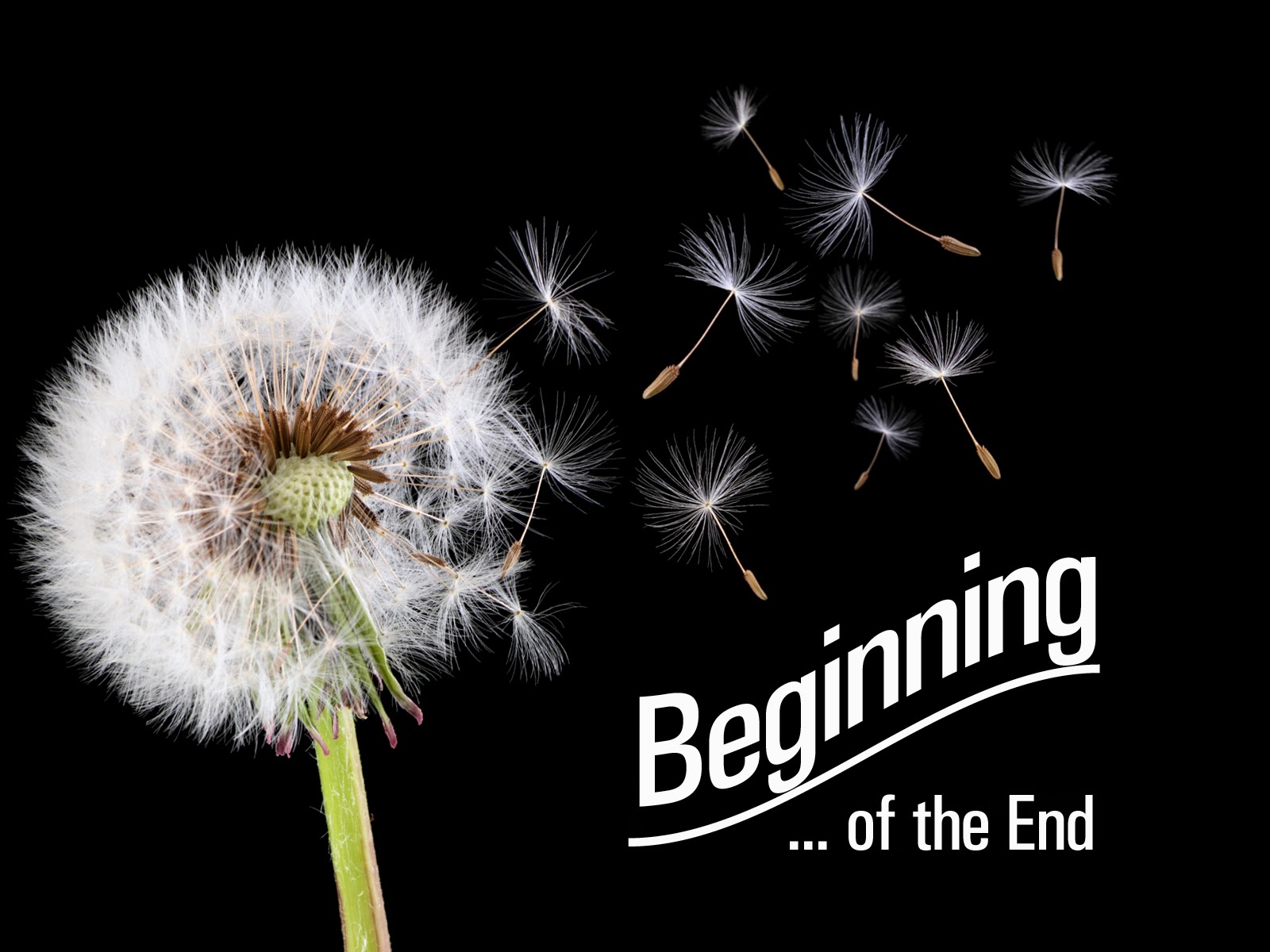 Day the beginning of the end. Beginning of the end. The end. The end картинка. The end is the beginning. Day the beginning of the end. Beginning of the end. The end. The end картинка. The end is the beginning.