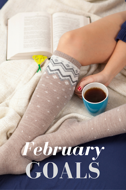 February Goals: January Update + Ways to Make Money (And TOOLS!)