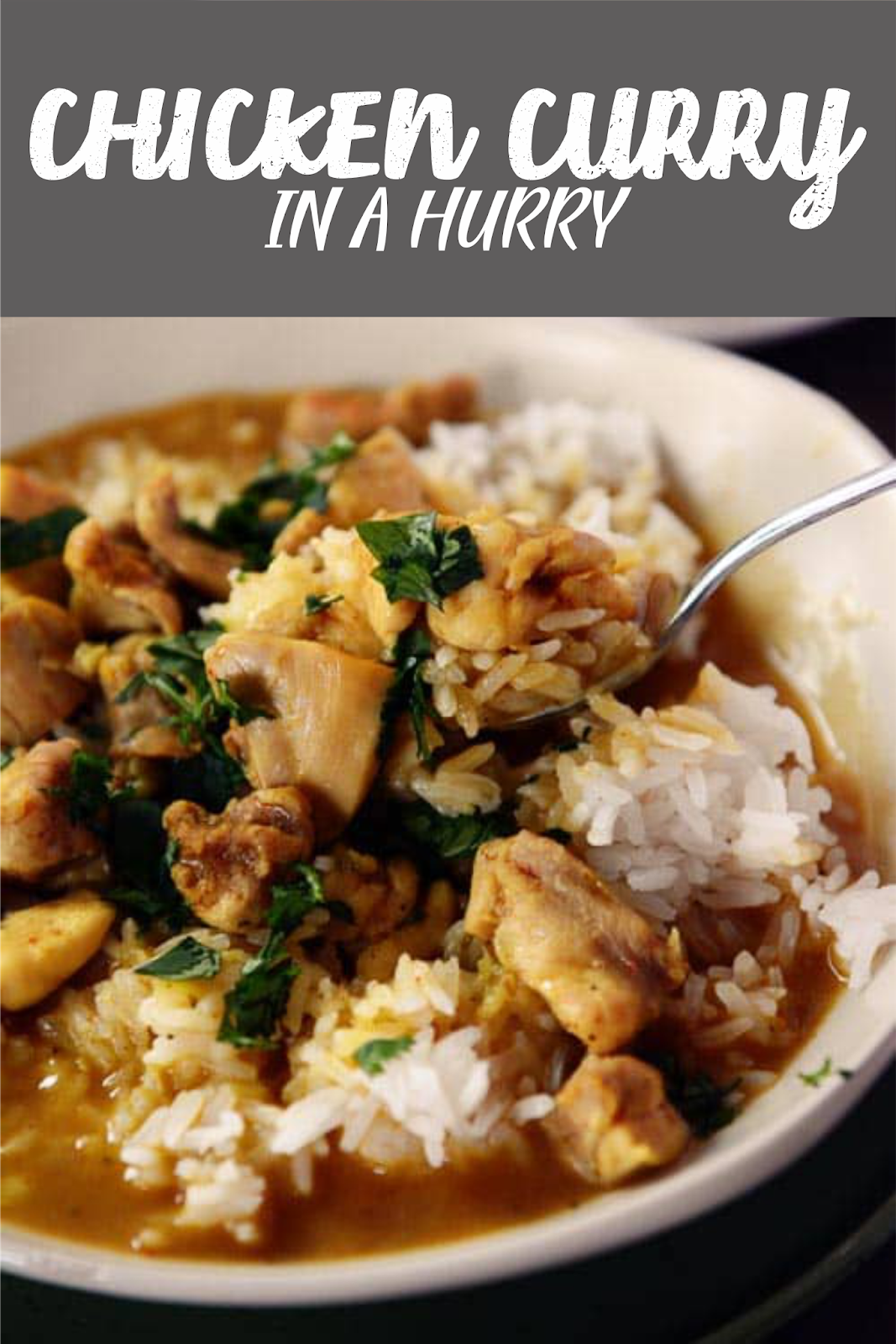 CHICKEN CURRY IN A HURRY Foods Lovers