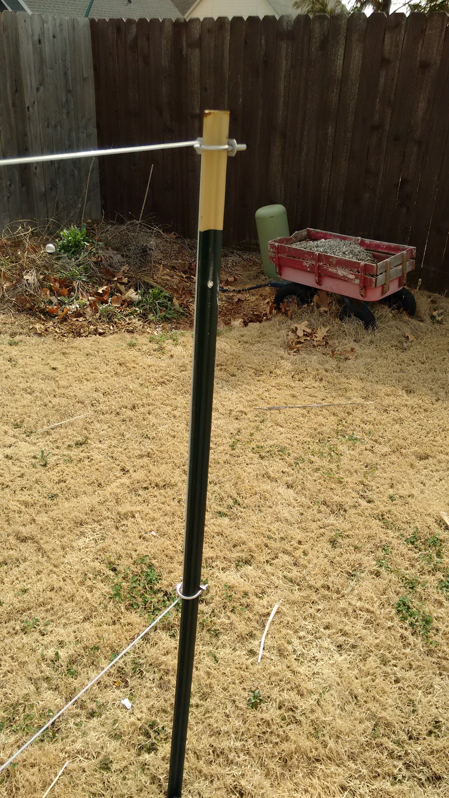 Building a grape trellis