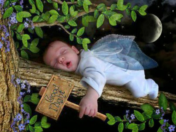 100+ hình ảnh hài hước về giấc ngủ - hinhanhsieudep.net