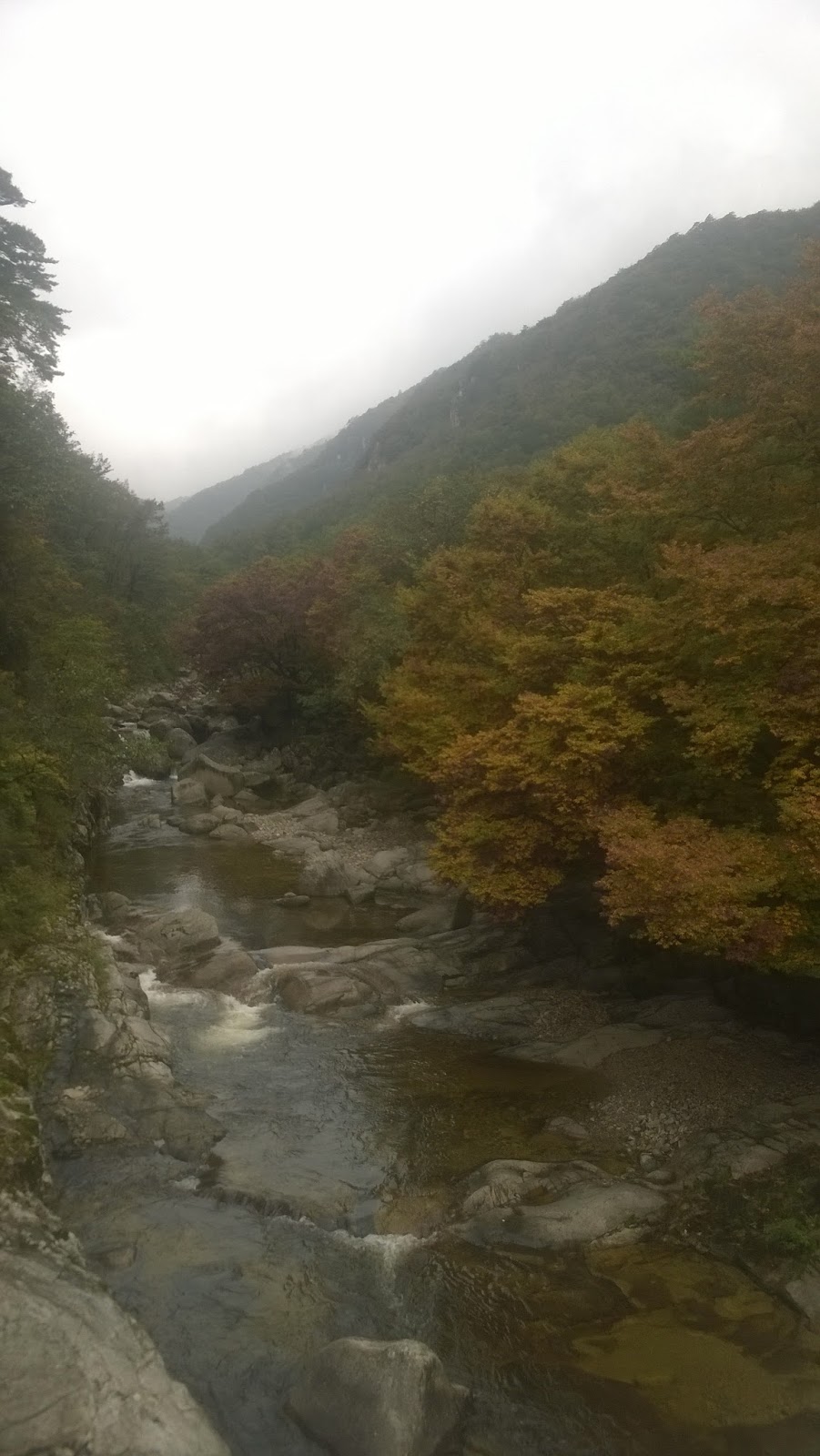 pornografista anaaliseksiä