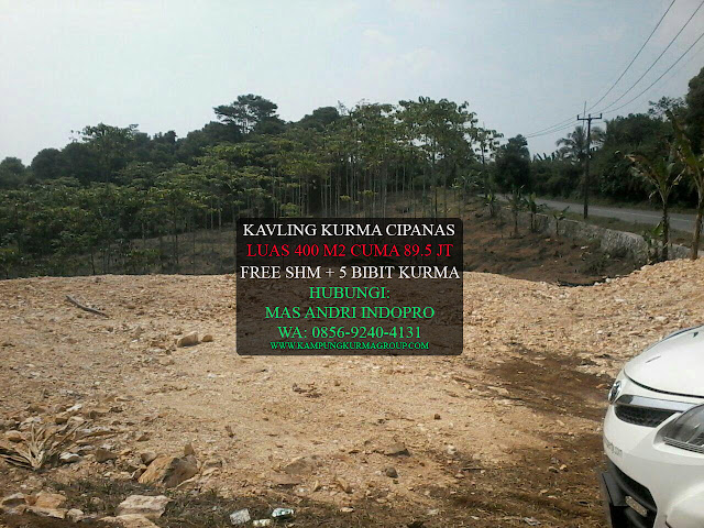 KAMPUNG-KURMA-CIPANAS-BANTEN-TANAH-KAVLING-SYARIAH-ISLAMI-MURAH KAMPUNG-KURMA-CIPANAS-BANTEN-TANAH-KAVLING-SYARIAH-ISLAMI-MURAH