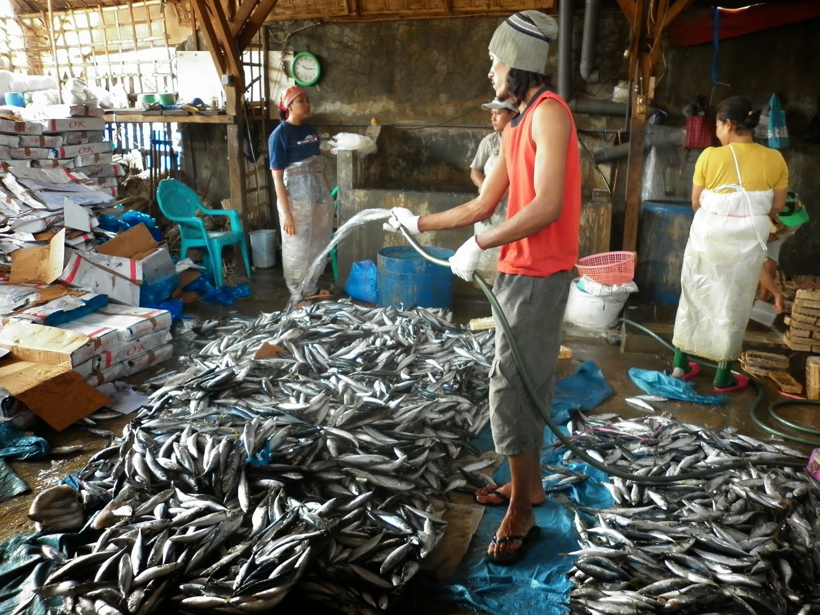 Mengoptimalkan Sumber Daya Ikan Lokal melalui Pengolahan yang Efektif di Desa Cikoneng