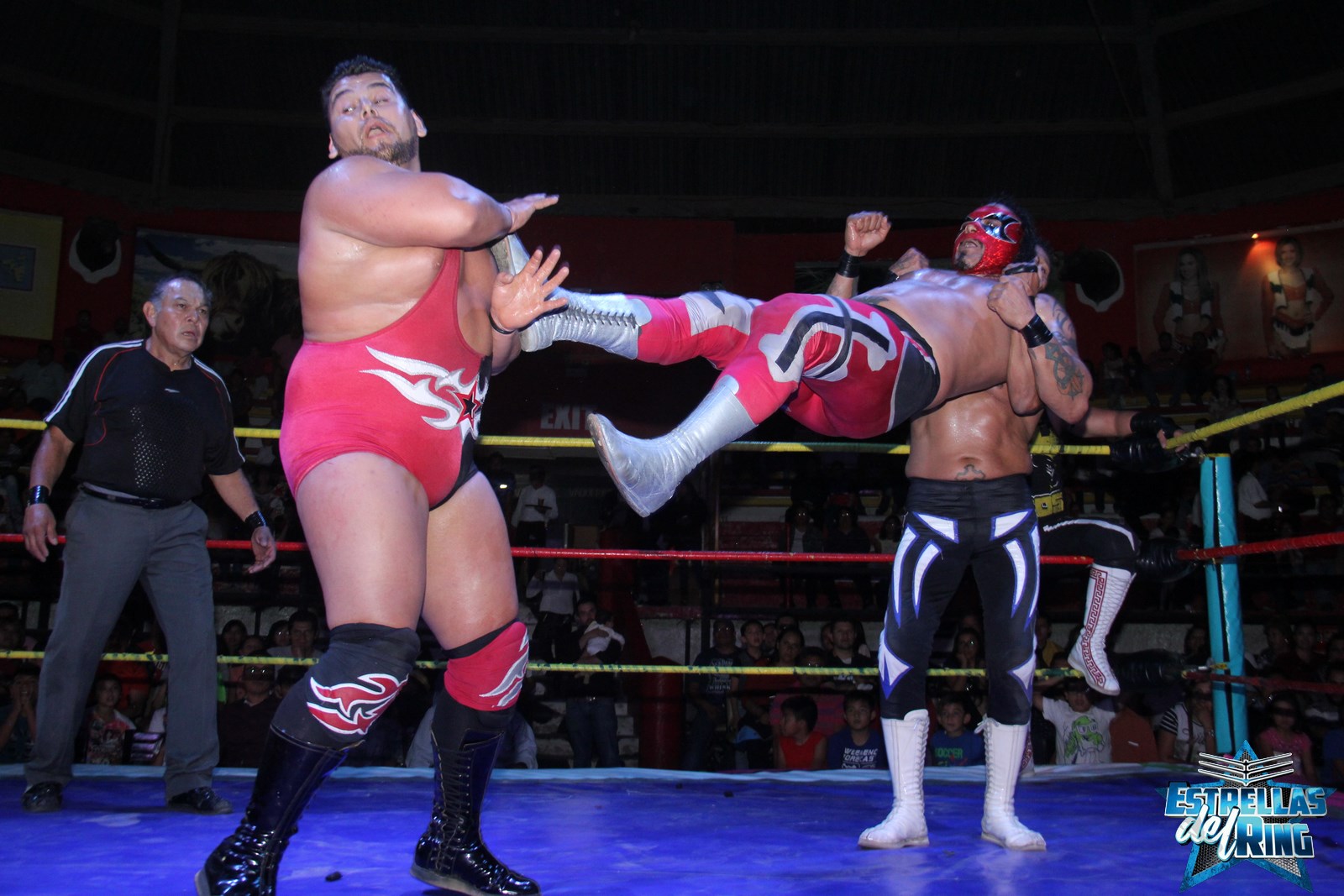 ESTRELLAS DEL RING. Triunfo de los Octágones y Taurus en el Rodeo